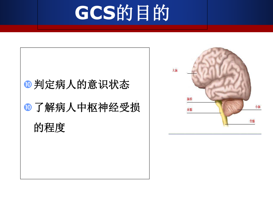 GCS评分实施细则及要点说明-ppt课件.ppt_第3页