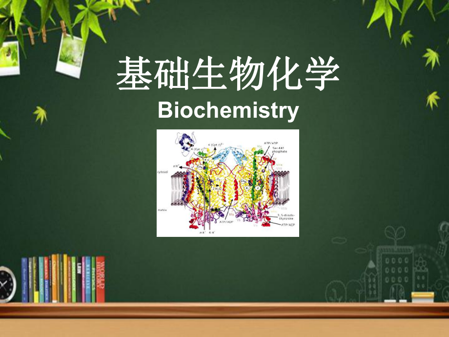 基础生物化学绪论-PPT课件.ppt_第1页