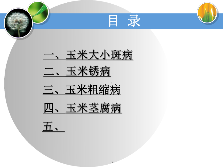 玉米主要病虫害及其防治ppt课件.ppt_第2页