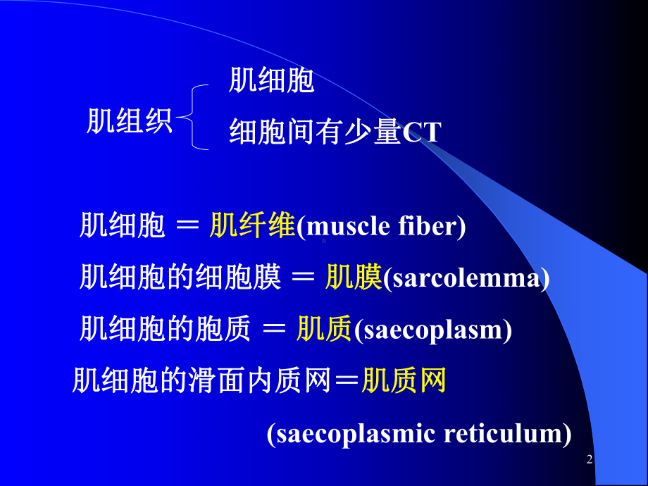 第6章肌组织课件汇编.ppt_第2页