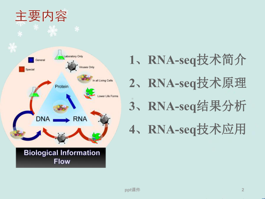 RNA-seq技术原理及应用-ppt课件.ppt_第2页