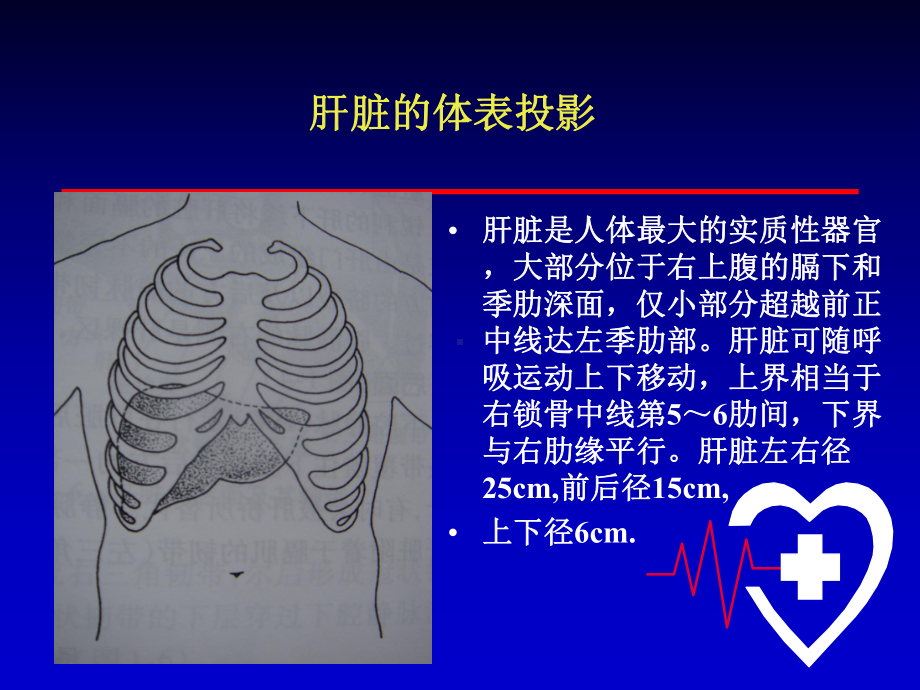 肝破裂ppt课件.ppt_第3页