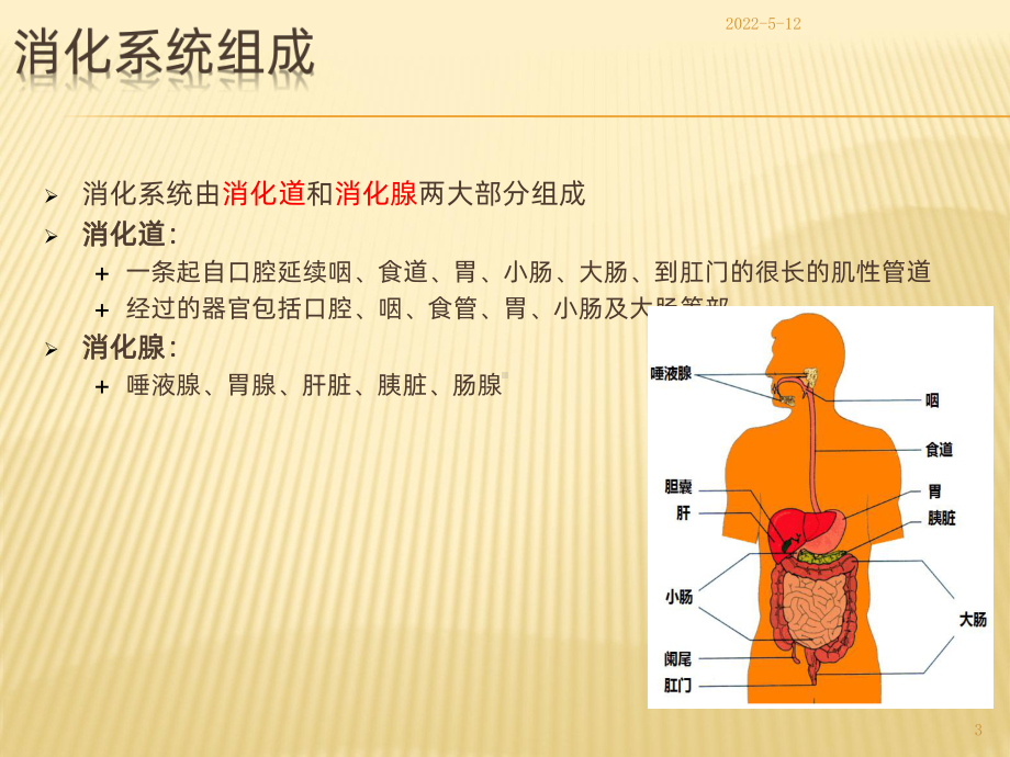 生理学基础PPT课件.ppt_第3页