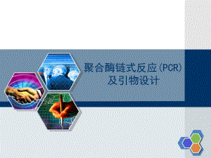 聚合酶链式反应(PCR)及引物设计-PPT课件.ppt