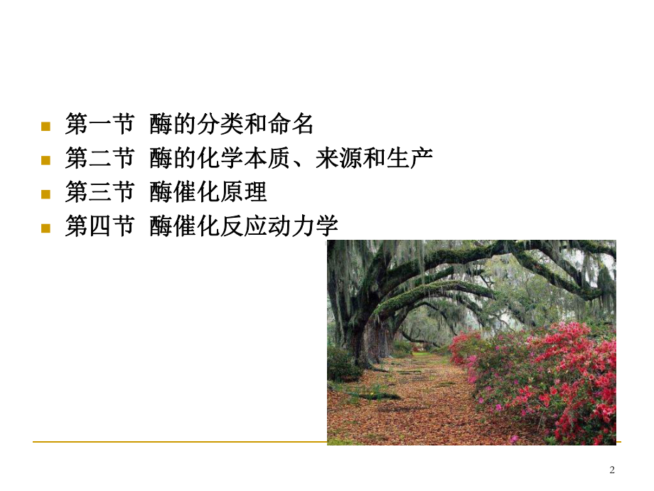 酶工程基础qPPT课件.ppt_第2页