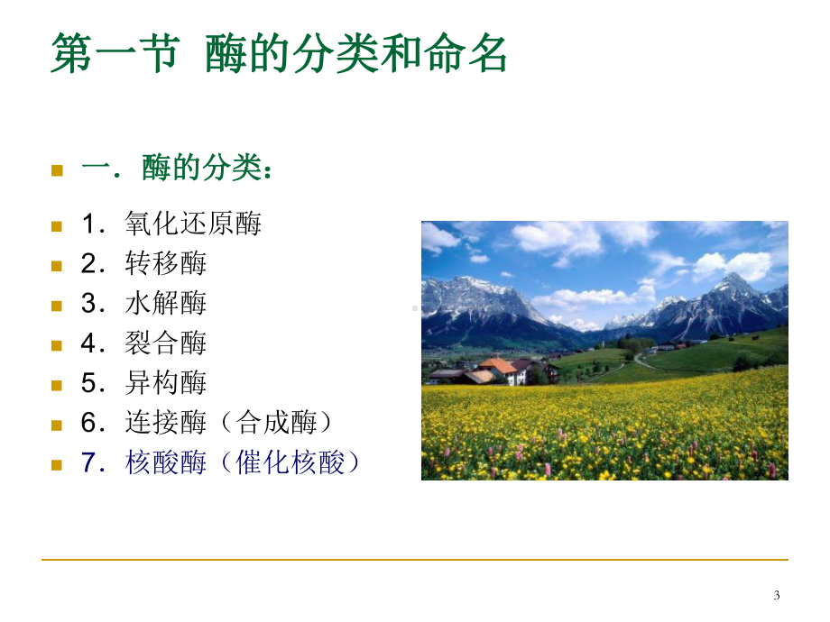 酶工程基础qPPT课件.ppt_第3页