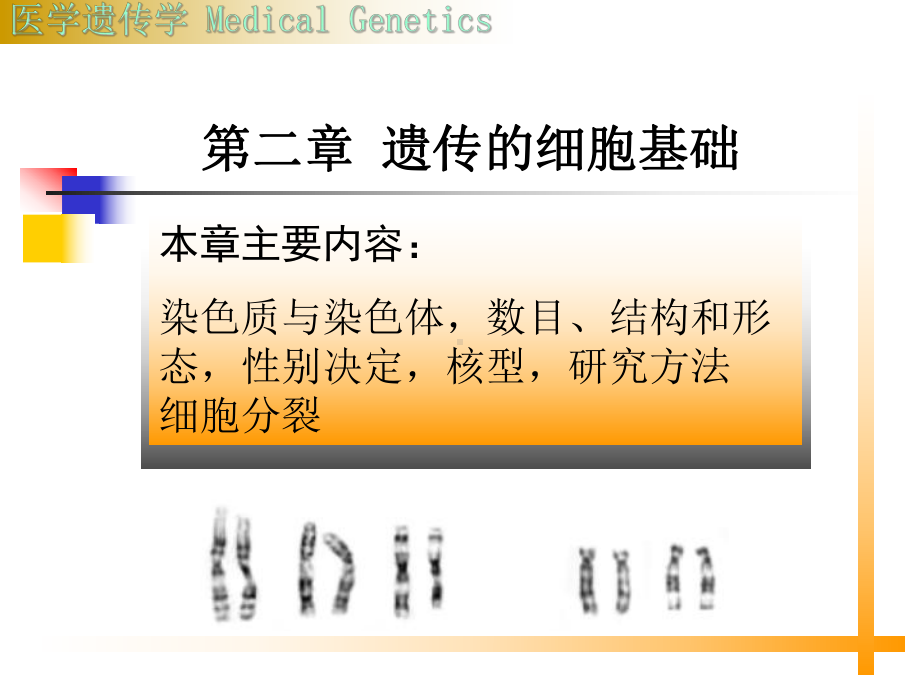 第二章-遗传的细胞基础-PPT课件.ppt_第1页