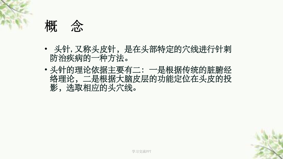 标准头针课件.ppt_第2页