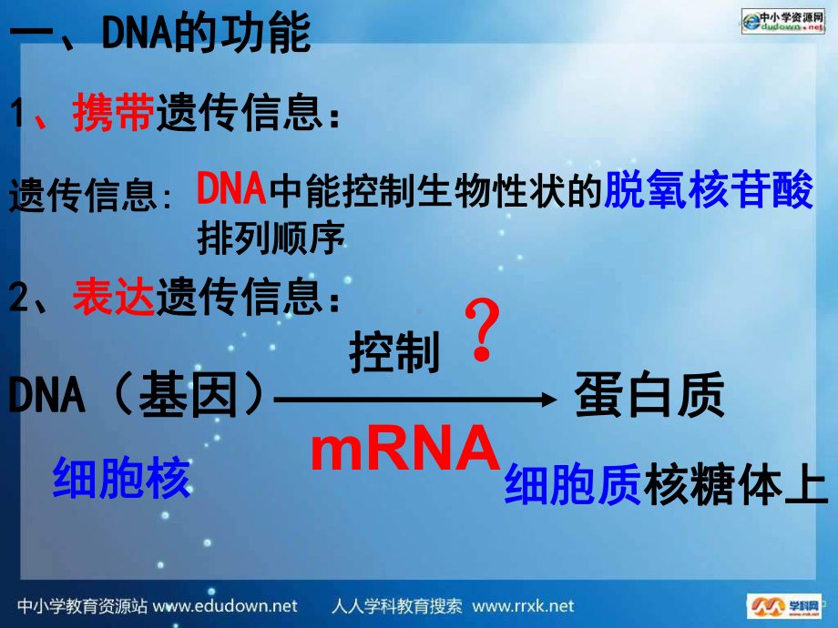 浙科版生物必修2第四节《遗传信息的表达—-RNA和蛋白质的合成》ppt课件[最新].ppt_第2页