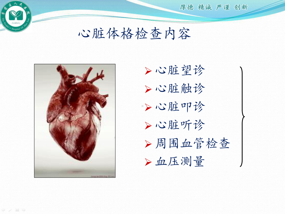 心脏体格检查PPT课件(同名31903).pptx_第3页