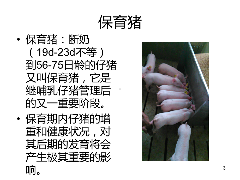 保育仔猪的饲养和管理PPT课件.ppt_第3页