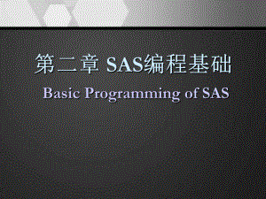 SAS软件应用基础-ppt课件.ppt