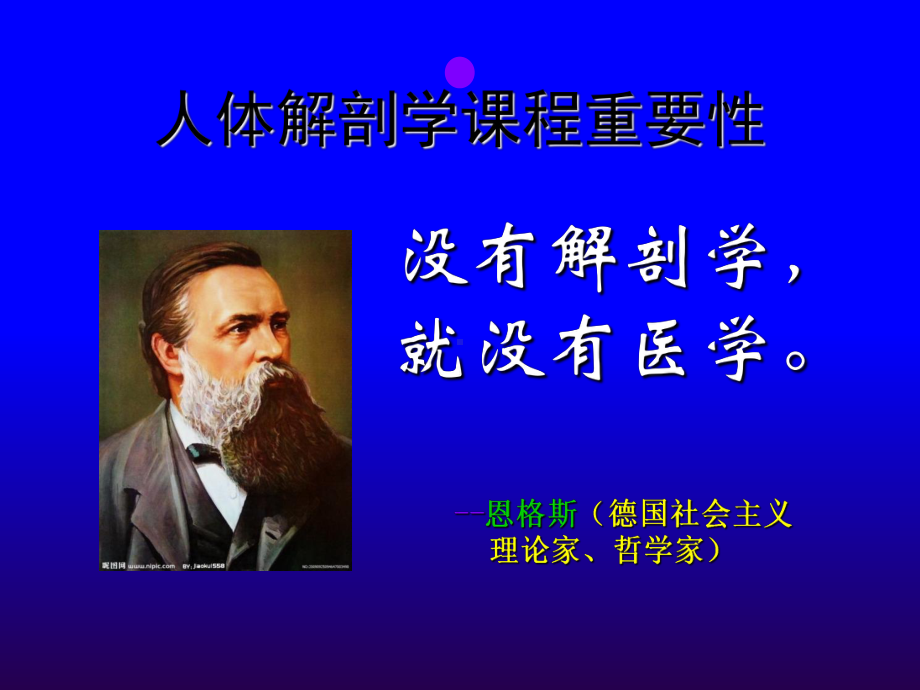 系统解剖学绪论,运动系概述PPT课件.ppt_第2页