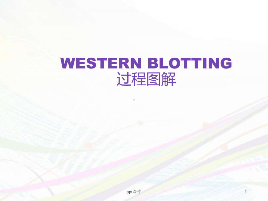 WESTERN-BLOT操作步骤图-ppt课件.ppt_第1页