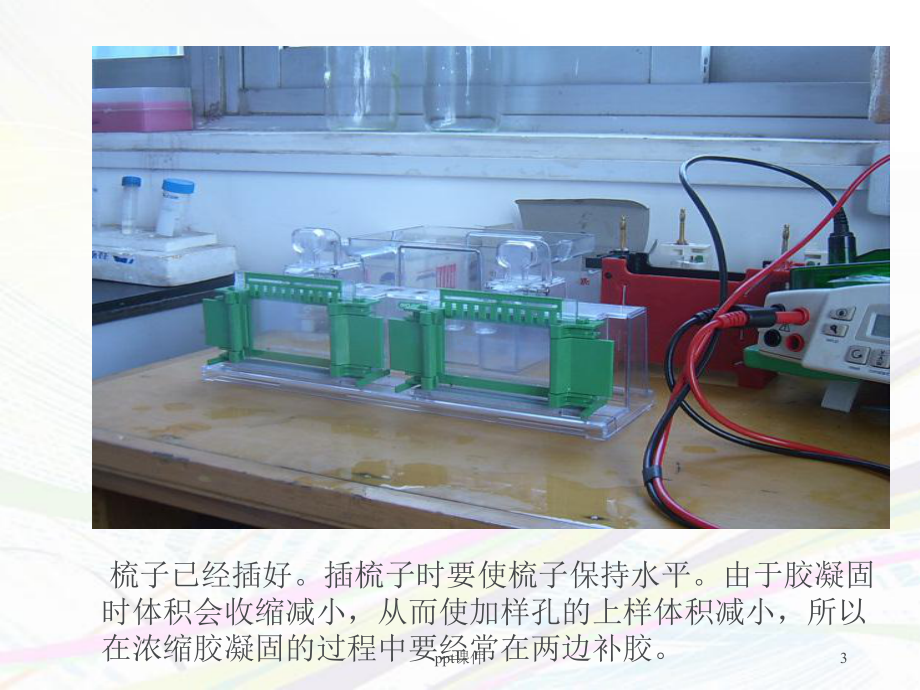 WESTERN-BLOT操作步骤图-ppt课件.ppt_第3页