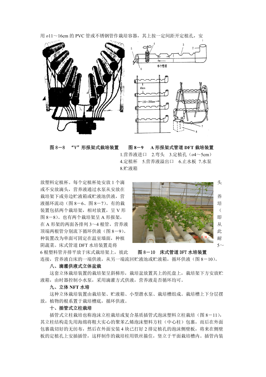 花卉立体栽培的类型.docx_第3页