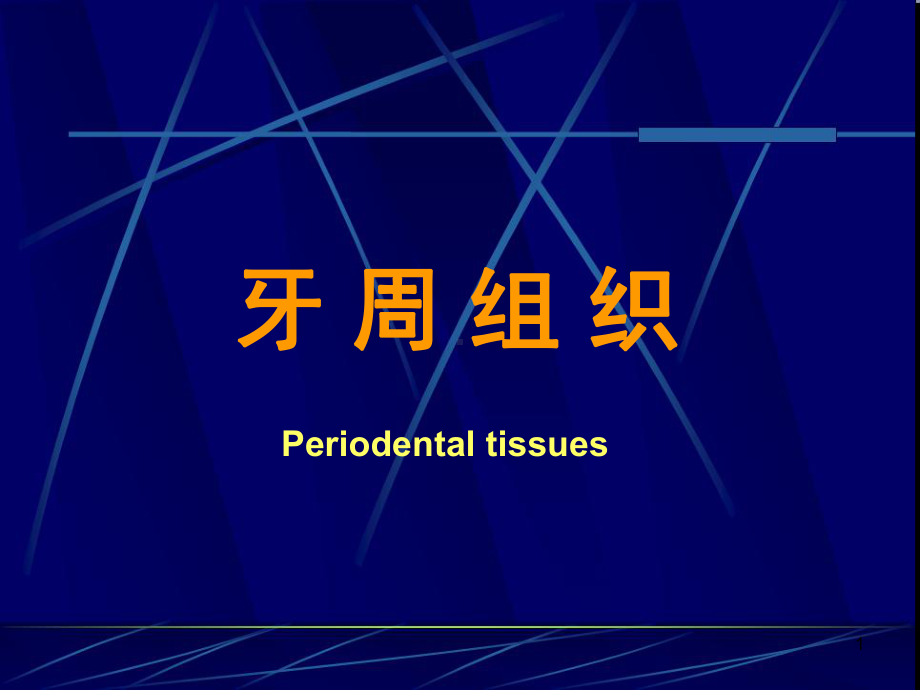 牙周组织ppt课件.ppt_第1页