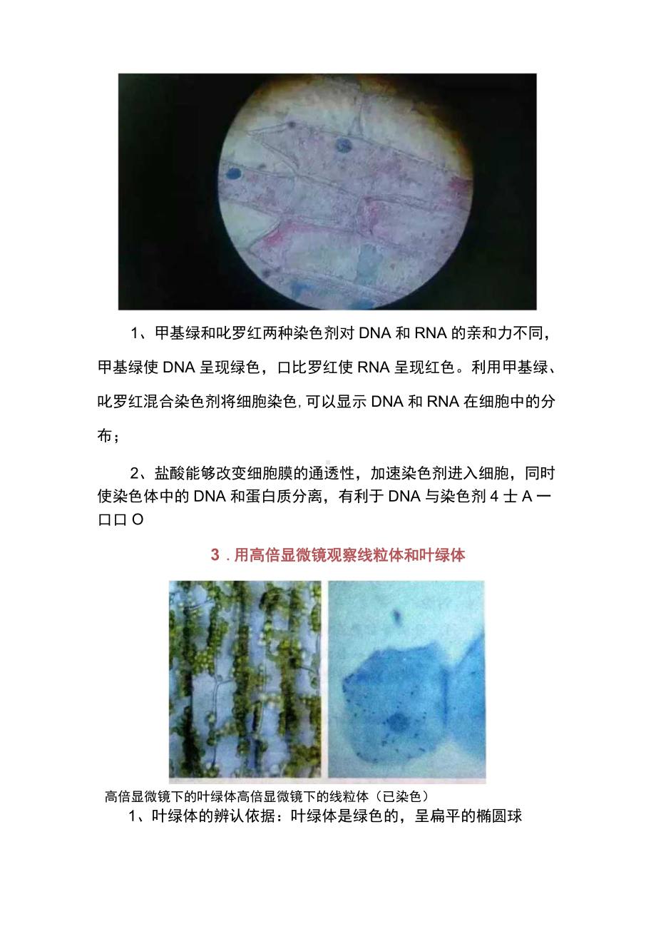 高中生物实验原理解析.docx_第2页