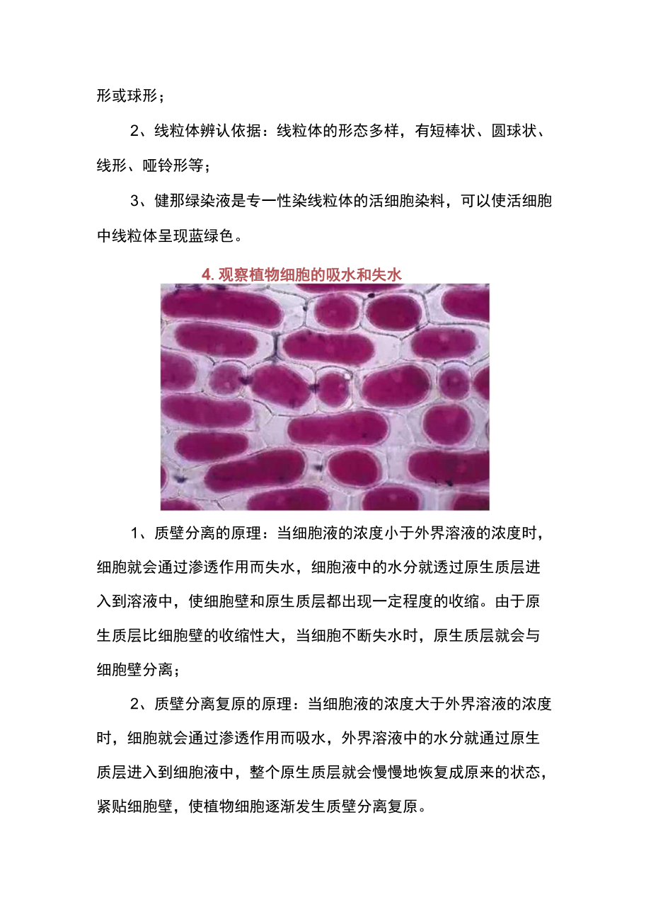 高中生物实验原理解析.docx_第3页