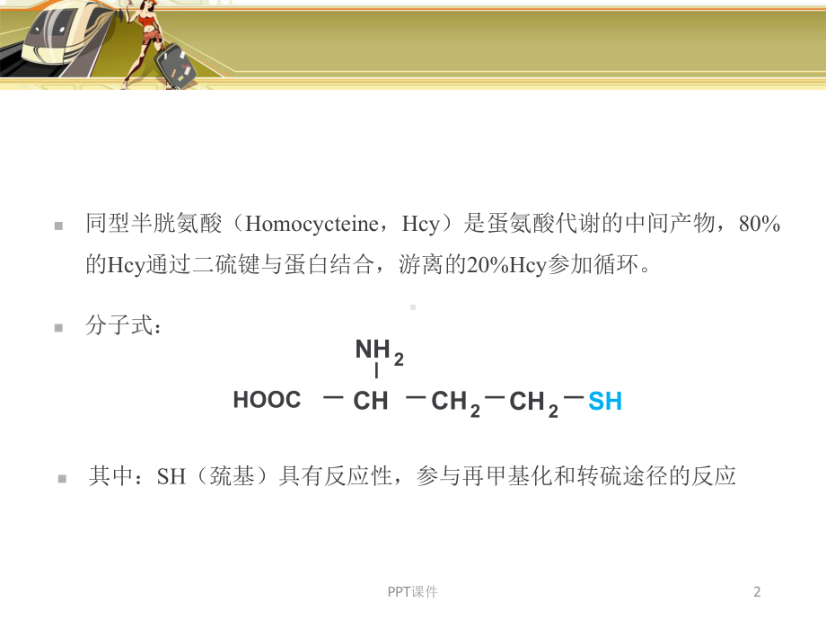 同型半胱氨酸-ppt课件.ppt_第2页