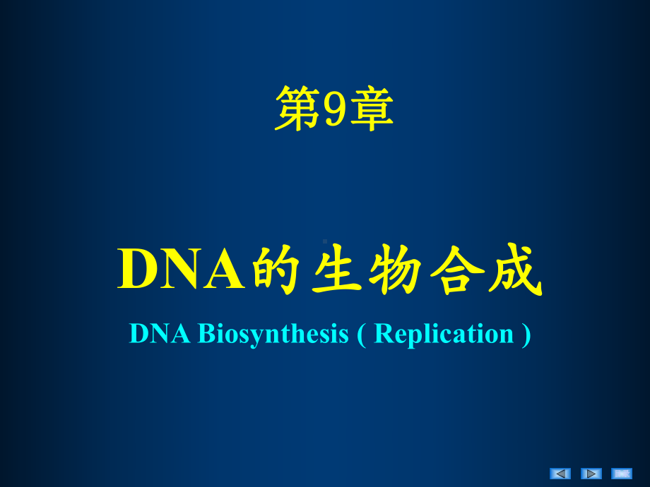 生物化学课件第12章DNA的生物合成.ppt_第1页