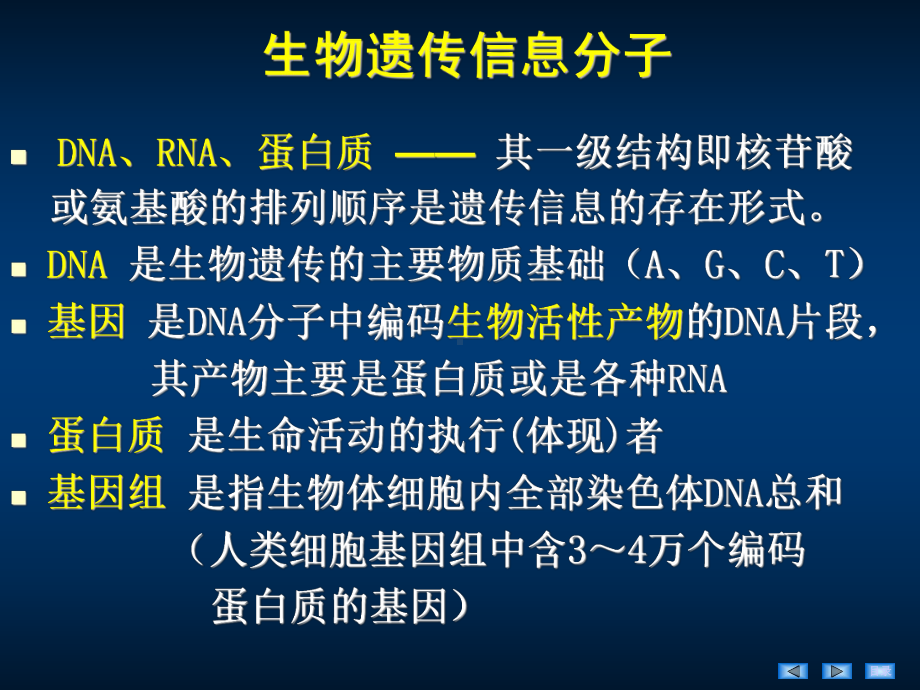 生物化学课件第12章DNA的生物合成.ppt_第3页