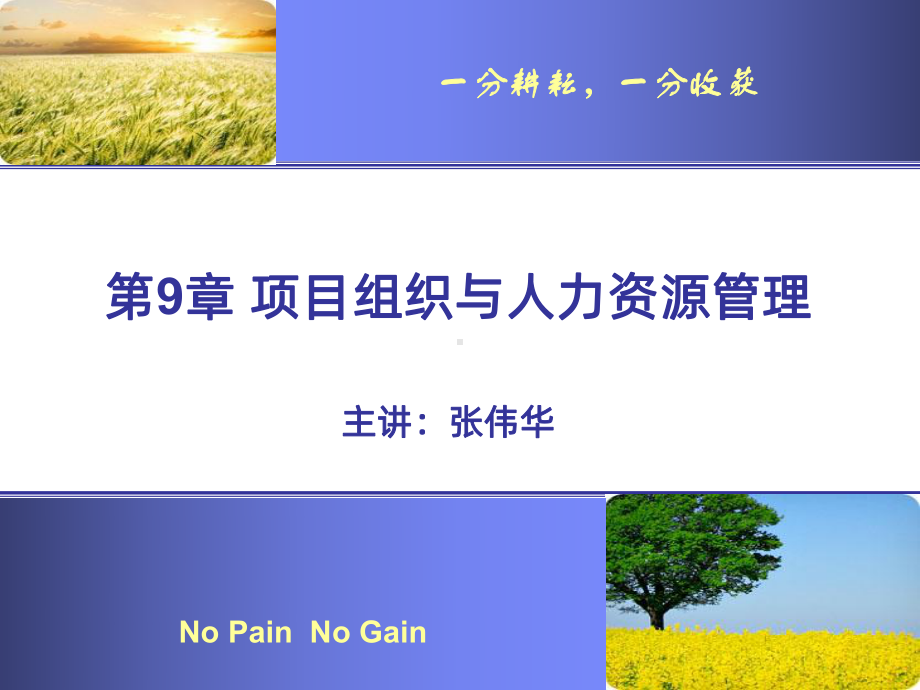 项目人力资源管理PPT课件.ppt_第1页