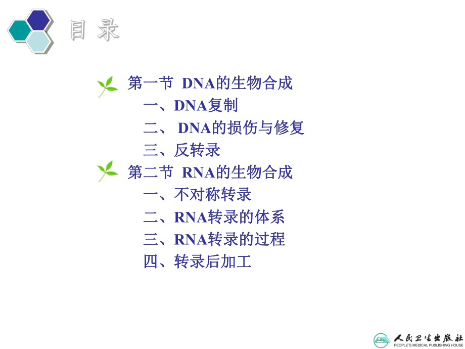 第四章 DNA和RNA的生物合成-PPT课件.ppt_第2页