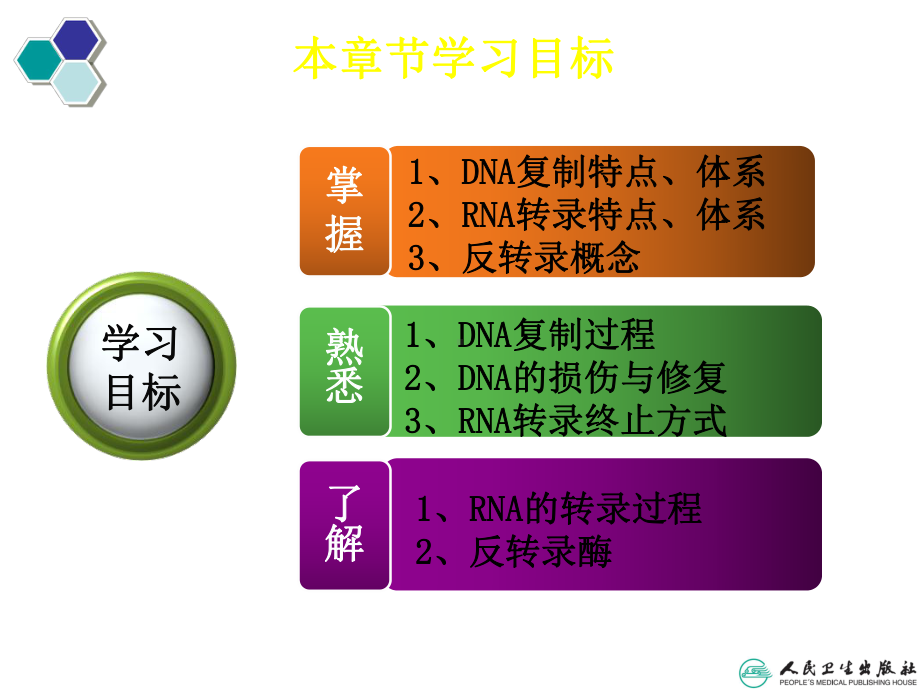 第四章 DNA和RNA的生物合成-PPT课件.ppt_第3页