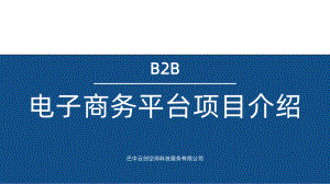 B2B电子商务平台介绍PPT课件.pptx