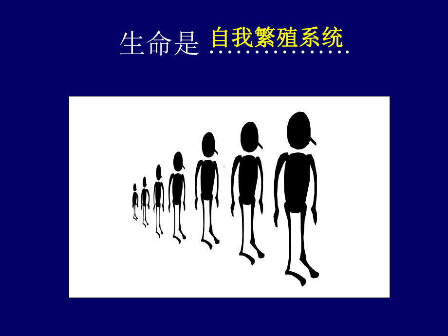 第十三章 DNA的生物合成-化药PPT课件.ppt_第3页