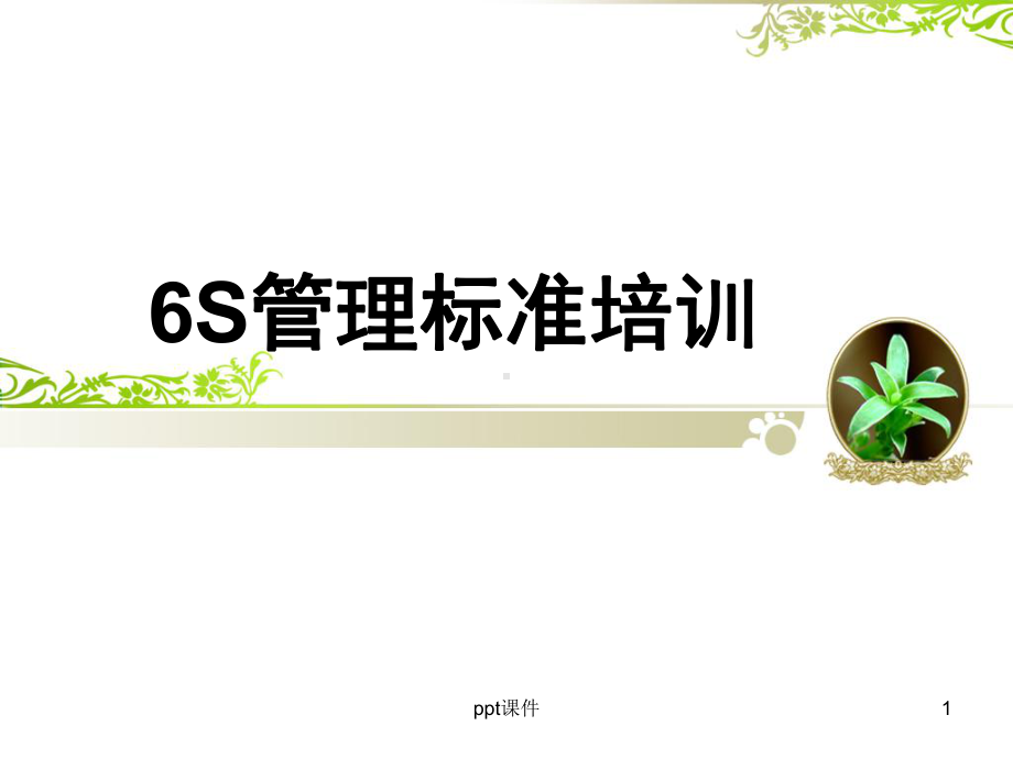 6S管理标准培训-ppt课件.ppt_第1页