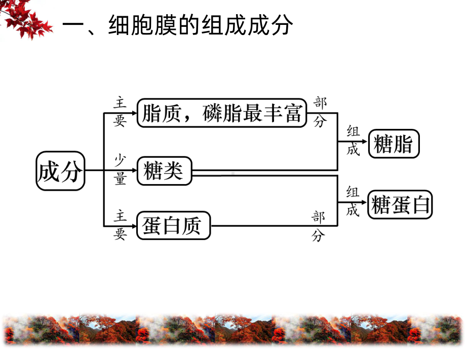 细胞膜-系统的边界(一轮复习)PPT课件(同名137840).ppt_第3页