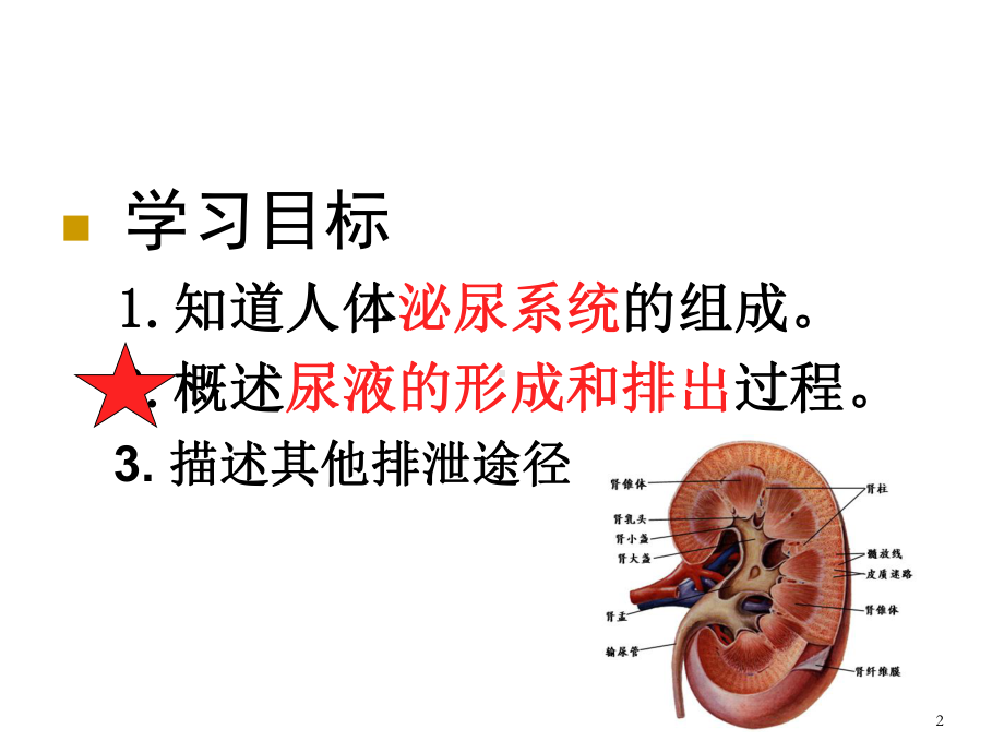 人体内废物的排出ppt课件.ppt_第2页