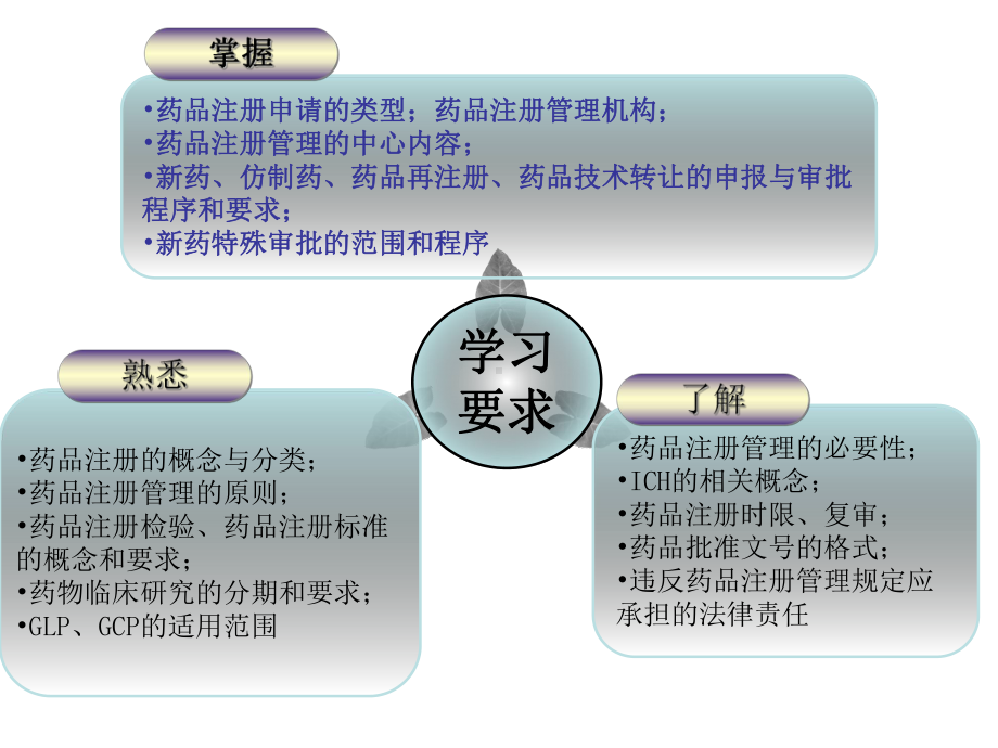 第六章-药品注册管理-PPT课件.ppt_第3页