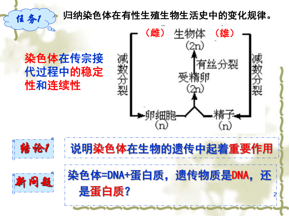 DNA是主要遗传物质ppt课件.ppt_第2页