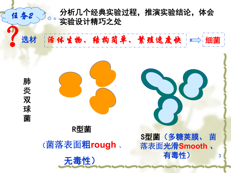 DNA是主要遗传物质ppt课件.ppt_第3页