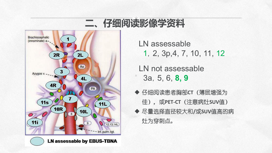 最新EBUSTBNA操作流程主题讲座课件.ppt_第3页