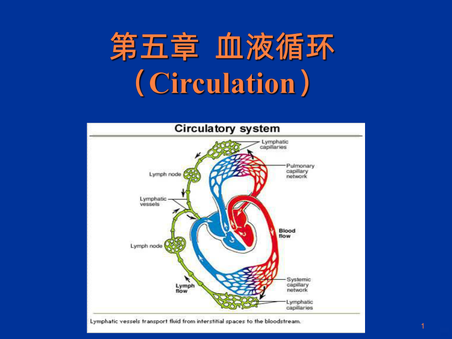 动物生理学血液循环ppt课件.ppt_第1页