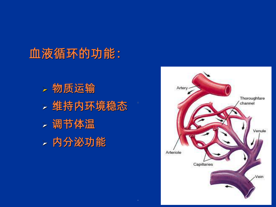 动物生理学血液循环ppt课件.ppt_第3页