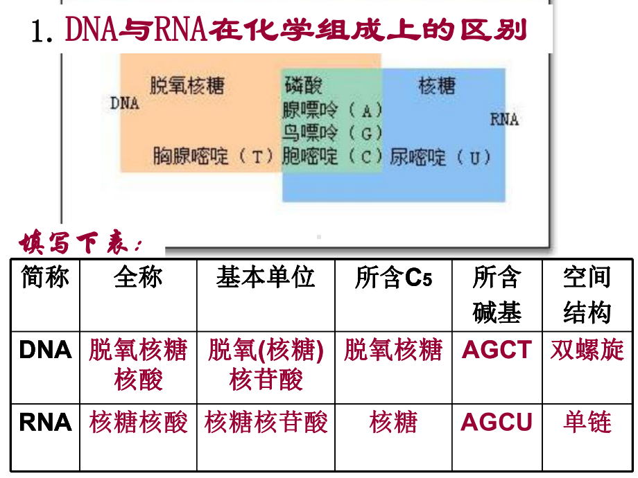 浙江省瓯海区三溪中学高中生物必修二《34遗传信息的表达-RNA和蛋白质的合成》课件其他.ppt.ppt_第3页