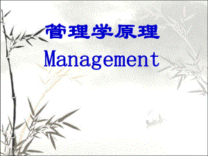 管理学原理-PPT课件.ppt