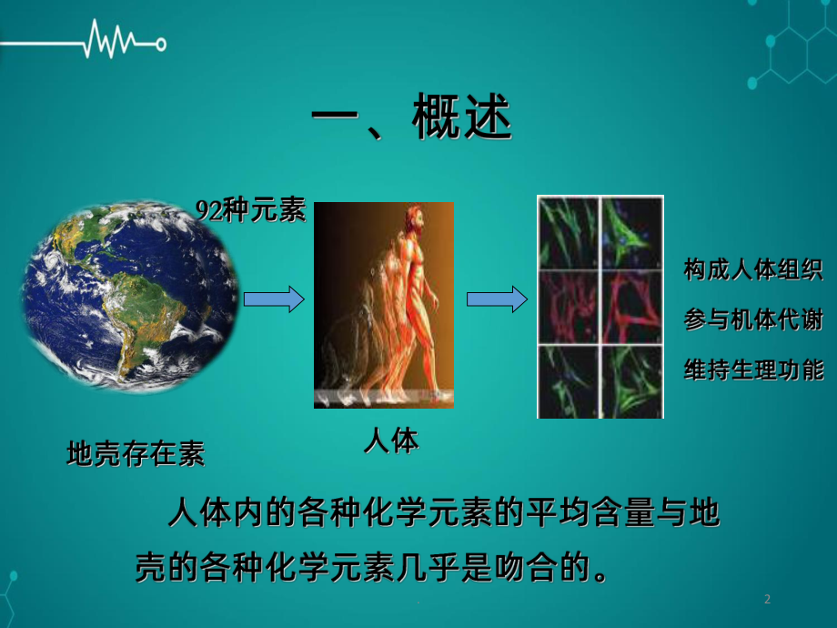 矿物质PPT课件.ppt_第2页