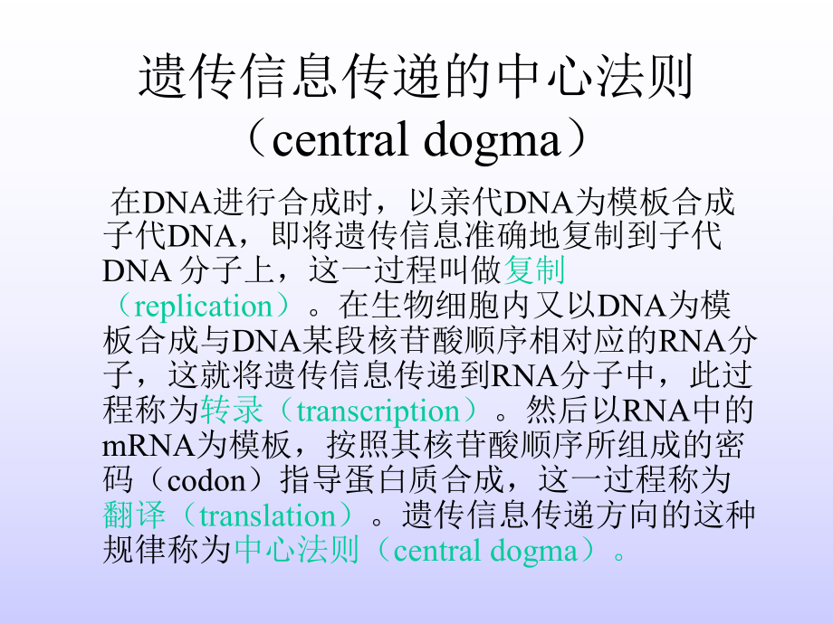 生物化学课件12第十二章 ＤＮＡ合成.ppt_第3页