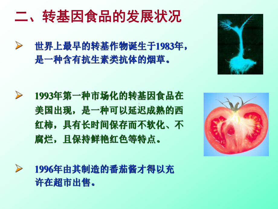 转基因食品及其安全性-PPT课件.ppt_第2页