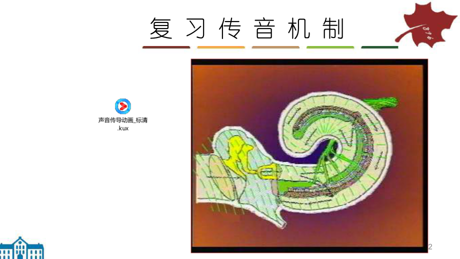 耳音叉试验ppt课件.ppt_第2页