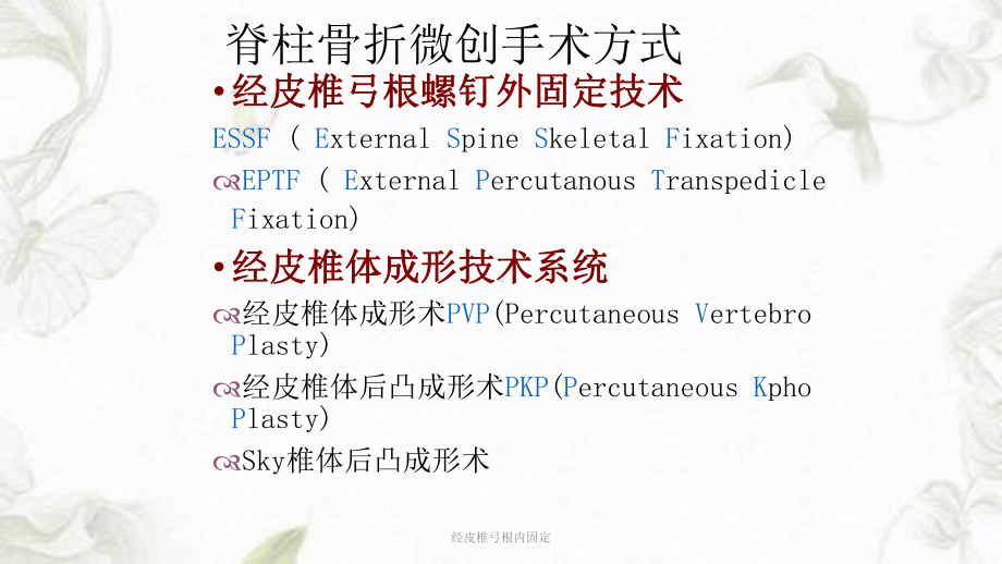 经皮椎弓根内固定ppt课件.ppt_第3页