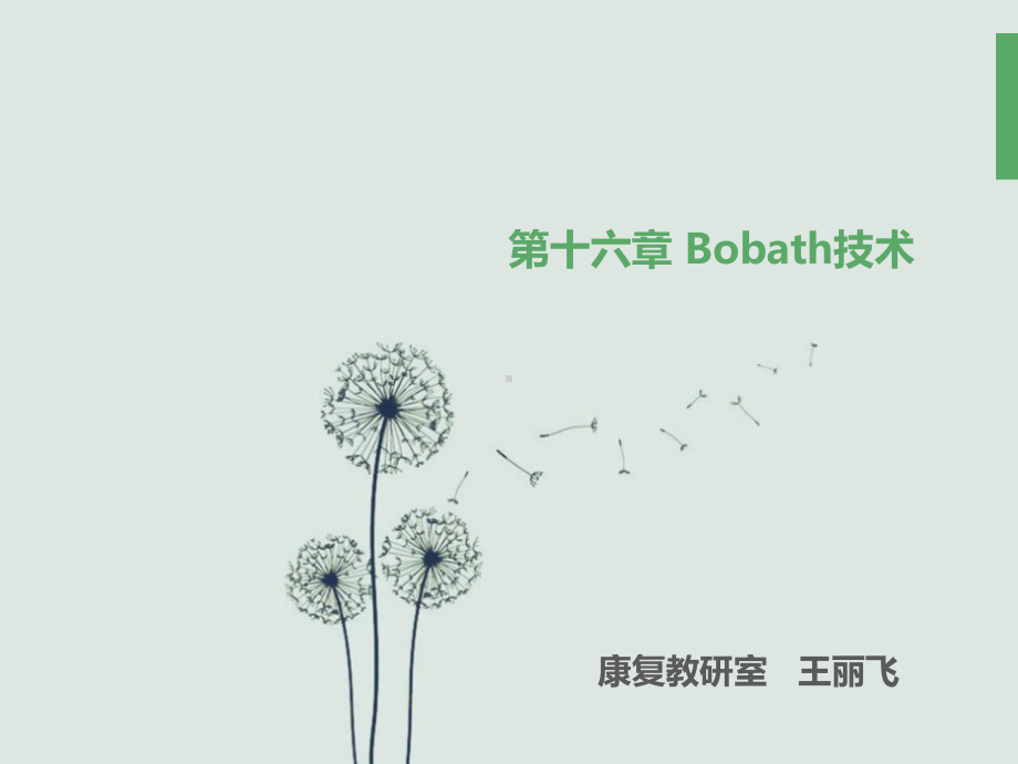 第十六章Bobath技术课件.ppt_第1页