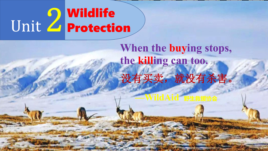 Unit 2 Wild life Protection Reading and Thinking ppt课件-（2019）新人教版高中英语必修第二册.pptx_第1页