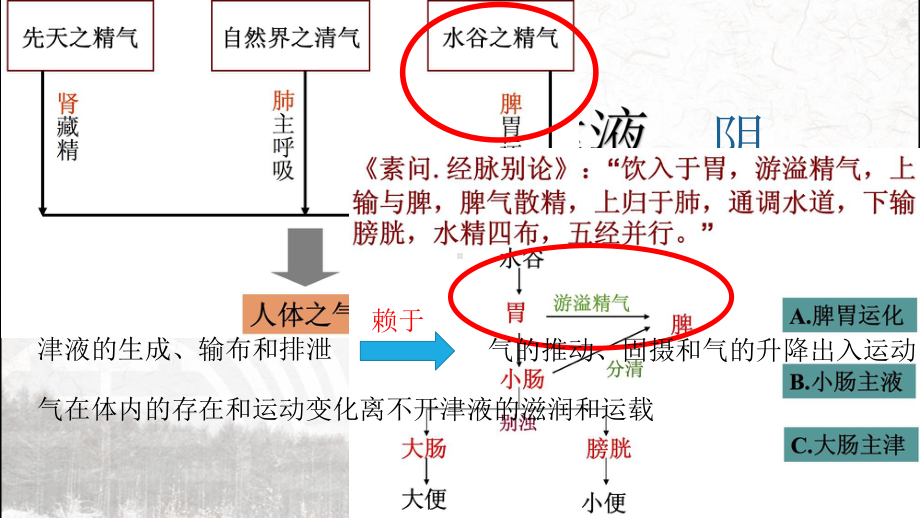 气与津液的关系 ppt课件.pptx_第2页